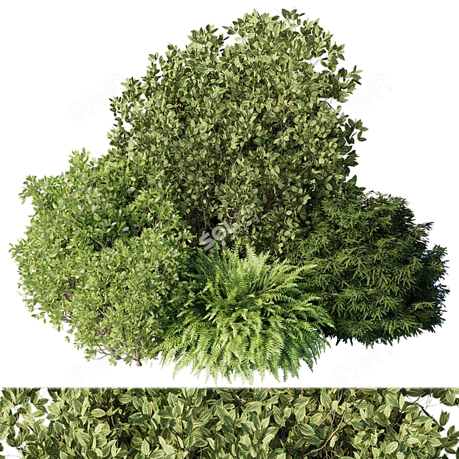 Mixed Plants Bush Set - Vray 3D Model 3D model image 1