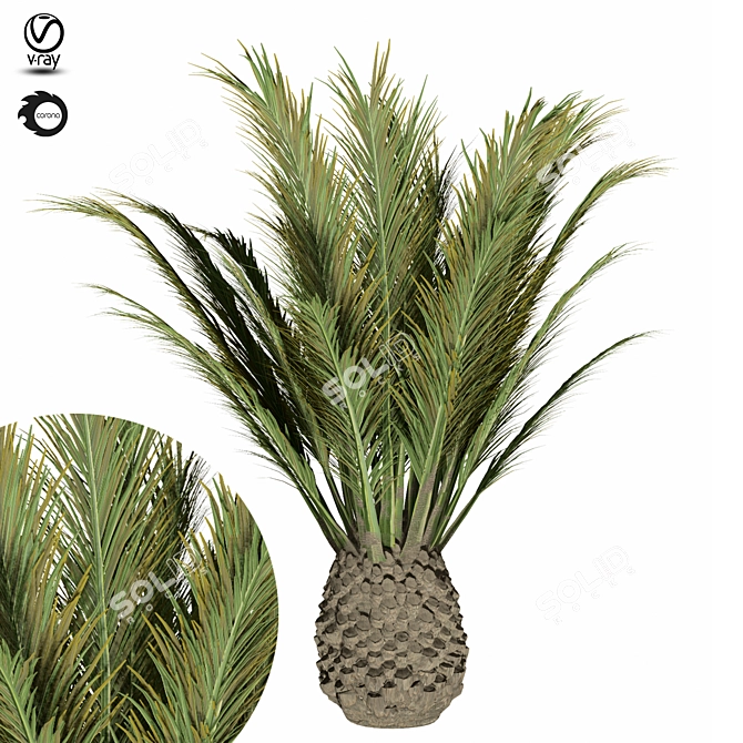 Tropical Palm Tree - 3D Model 3D model image 1
