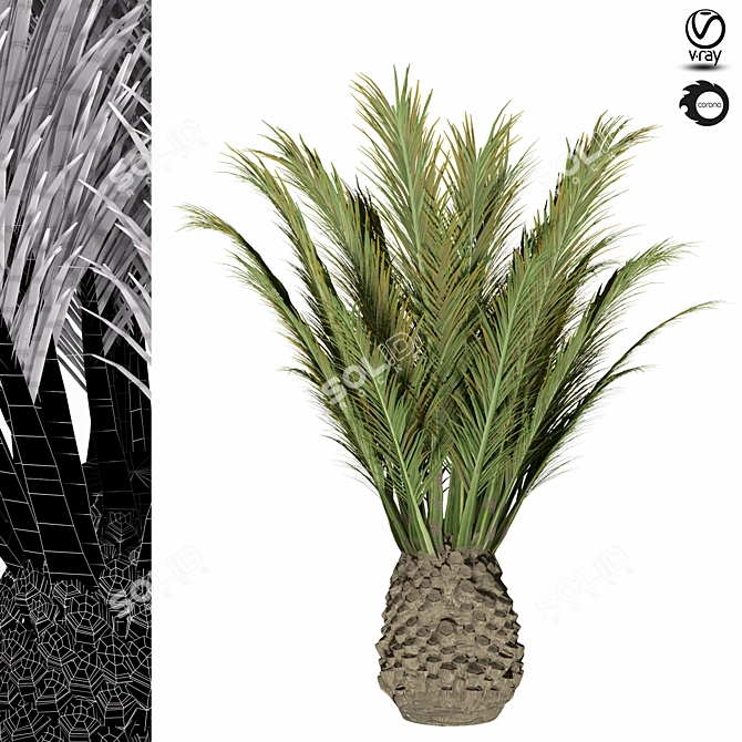 Tropical Palm Tree - 3D Model 3D model image 2