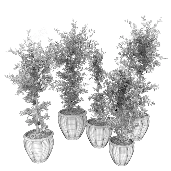 Ficus Leaf - Indoor Plant Collection Vol 299 3D model image 7