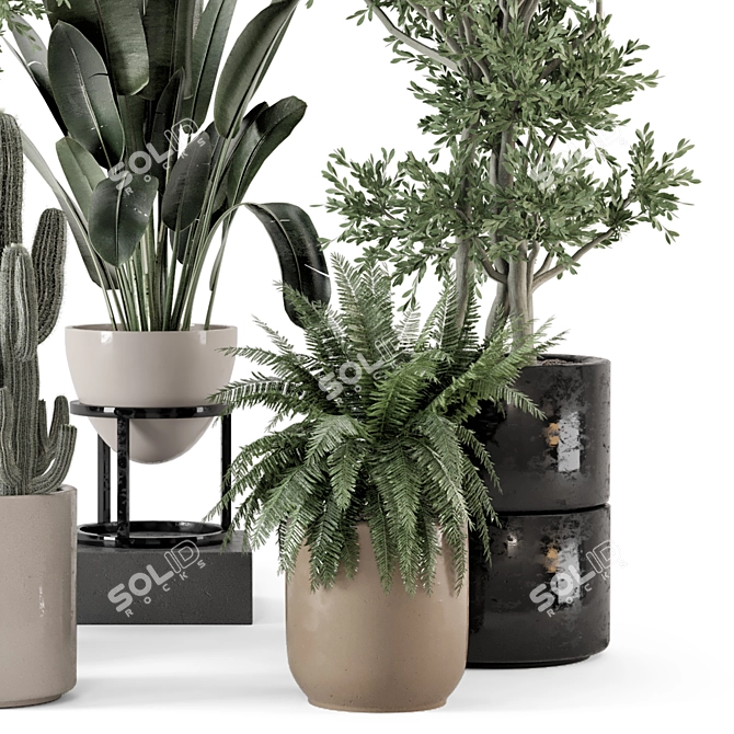 Rusty Concrete Pot Indoor Plants 3D model image 3