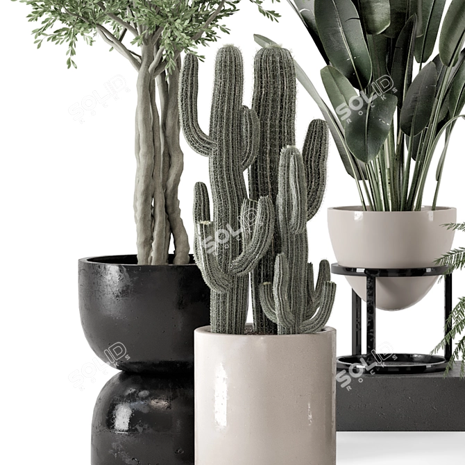 Rusty Concrete Pot Indoor Plants 3D model image 5