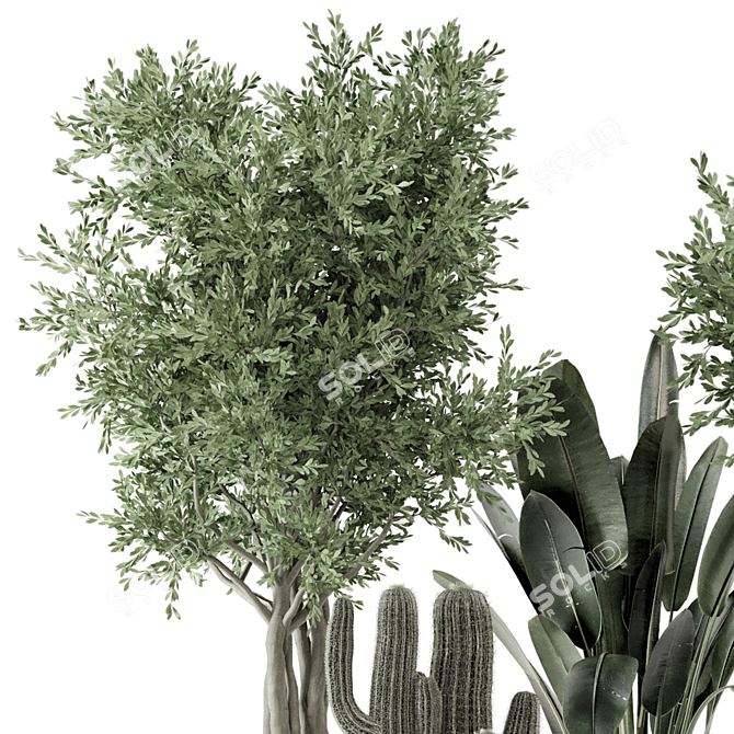 Rusty Concrete Pot Indoor Plants 3D model image 6