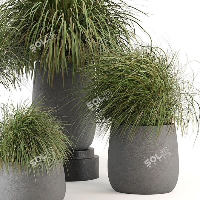 Outdoor Oasis Collection - 200 Stunning Plants 3D model image 3