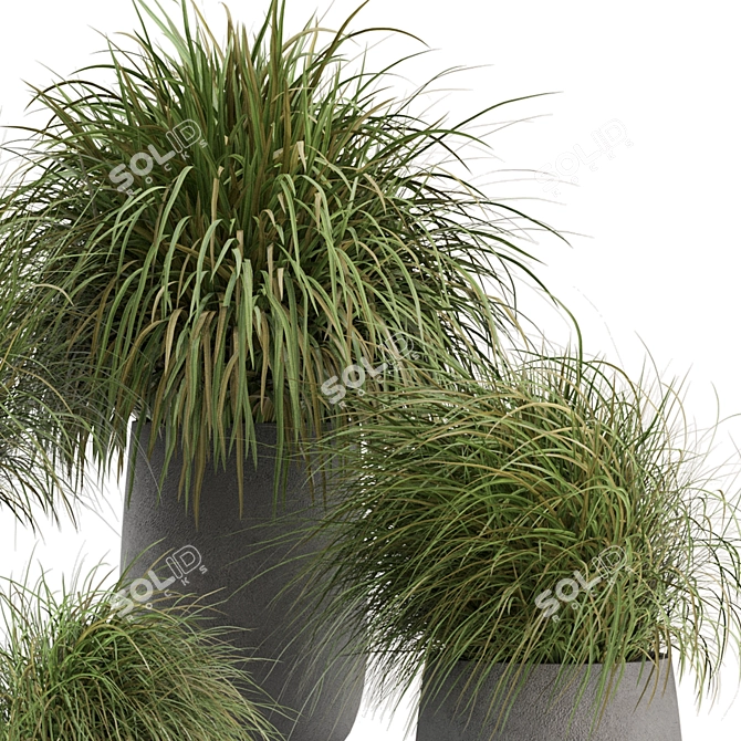 Outdoor Oasis Collection - 200 Stunning Plants 3D model image 5