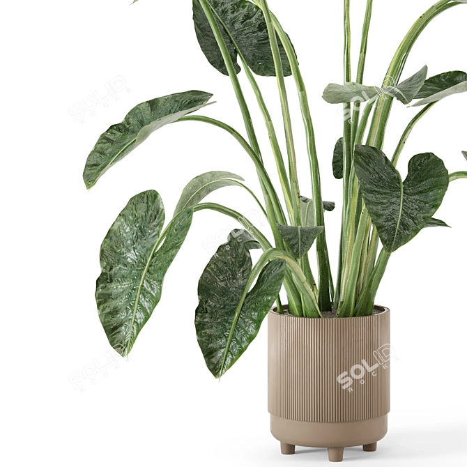 Rusty Concrete Pot Indoor Plants - Set 437 3D model image 3