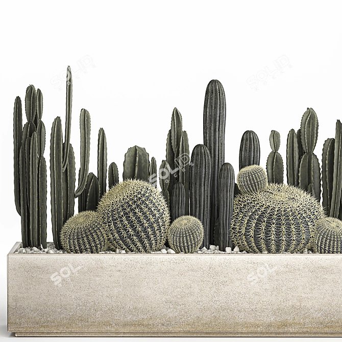 Exotic Plant Collection for Indoor and Outdoor Use 3D model image 2