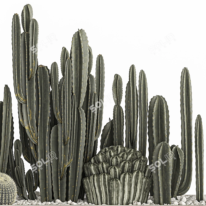 Exotic Plant Collection for Indoor and Outdoor Use 3D model image 3