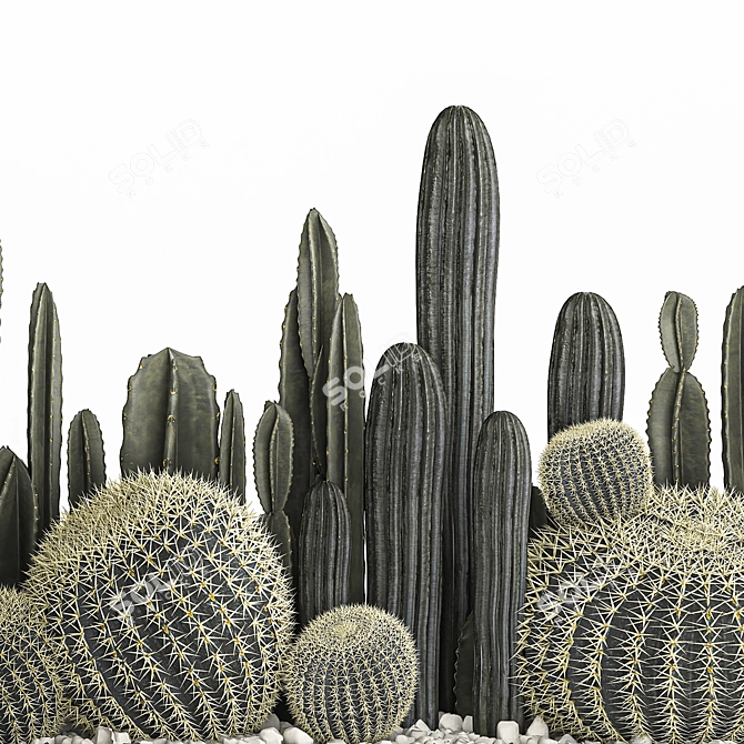 Exotic Plant Collection for Indoor and Outdoor Use 3D model image 6