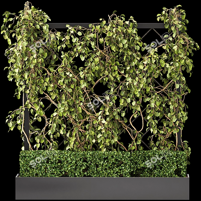 Green Wall - Outdoor Vertical Garden 3D model image 1