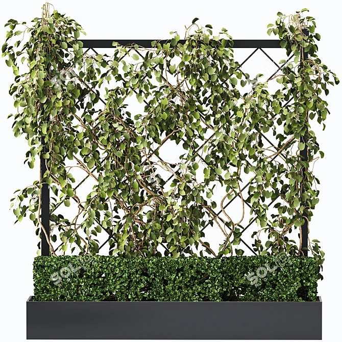 Green Wall - Outdoor Vertical Garden 3D model image 5