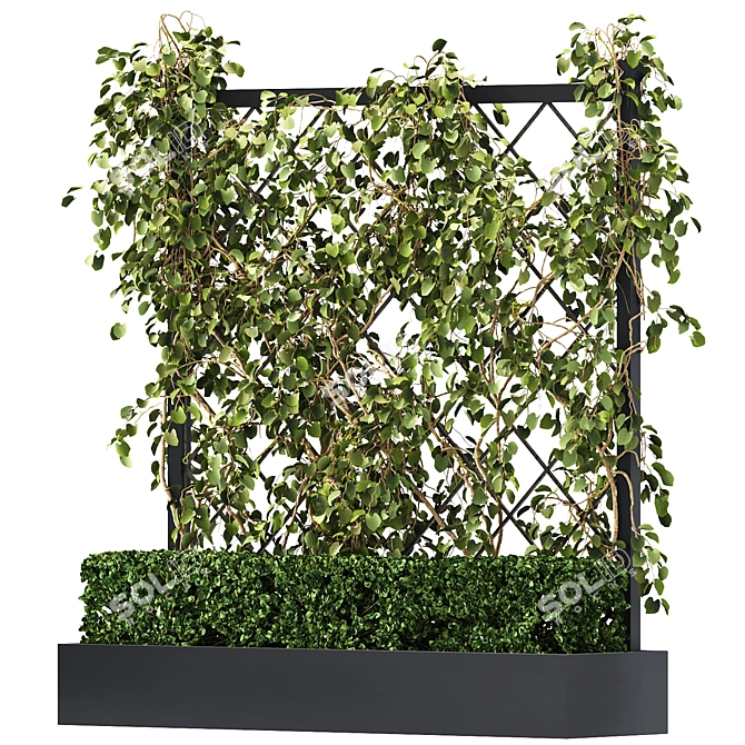 Green Wall - Outdoor Vertical Garden 3D model image 6