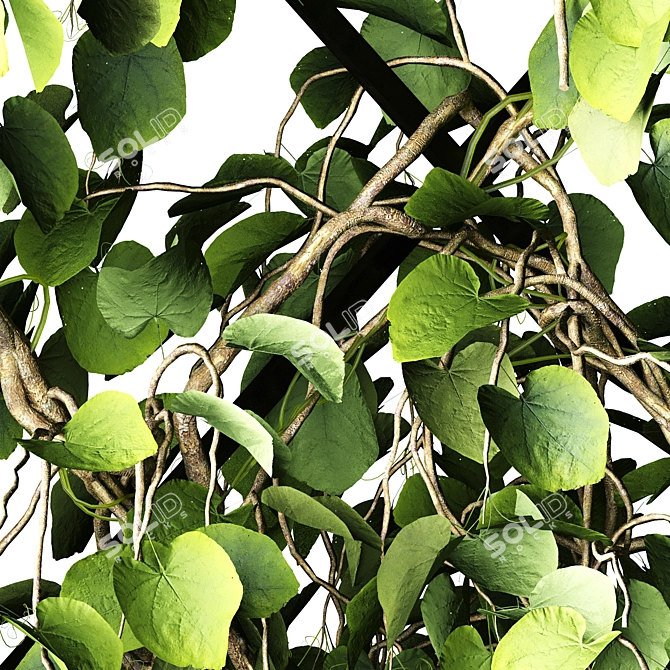 Green Wall - Outdoor Vertical Garden 3D model image 7