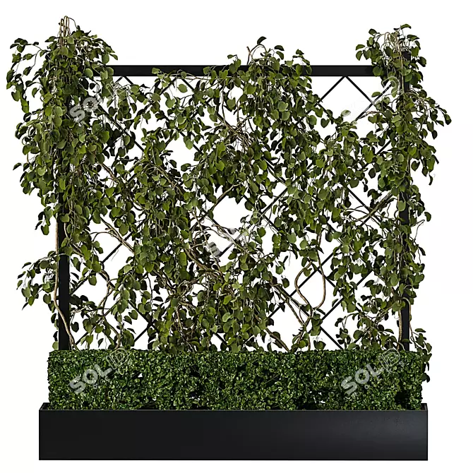 Green Wall - Outdoor Vertical Garden 3D model image 12