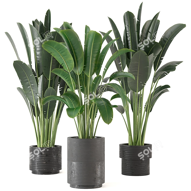 Indoor Greenery Collection - Set 201 3D model image 1