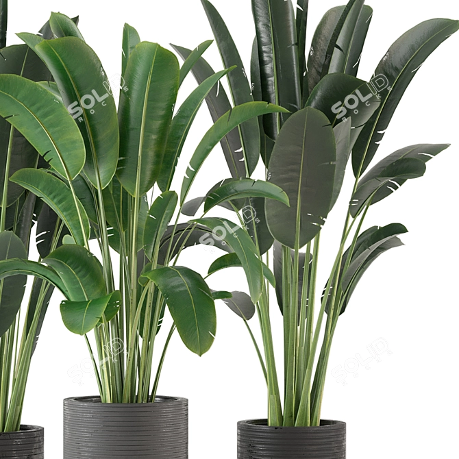 Indoor Greenery Collection - Set 201 3D model image 3