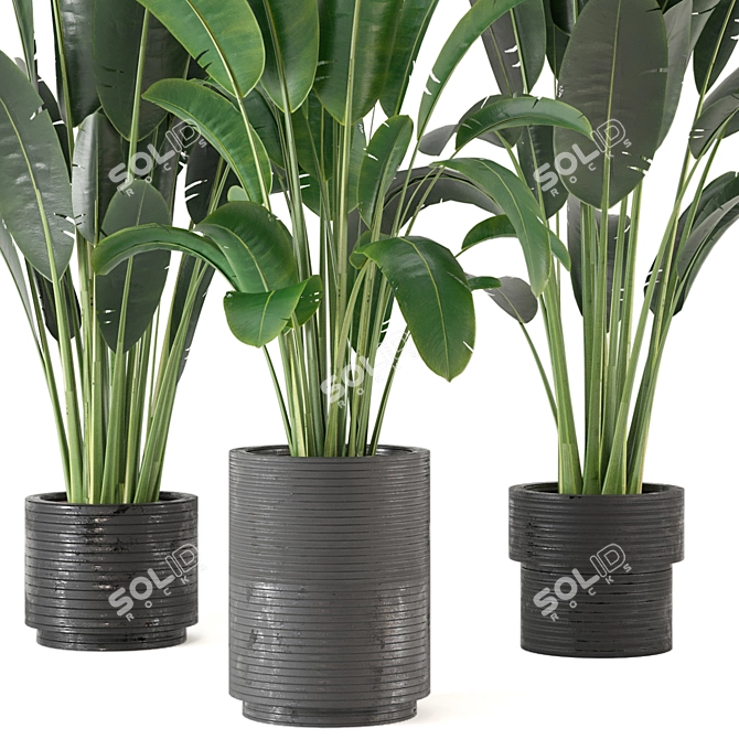 Indoor Greenery Collection - Set 201 3D model image 4