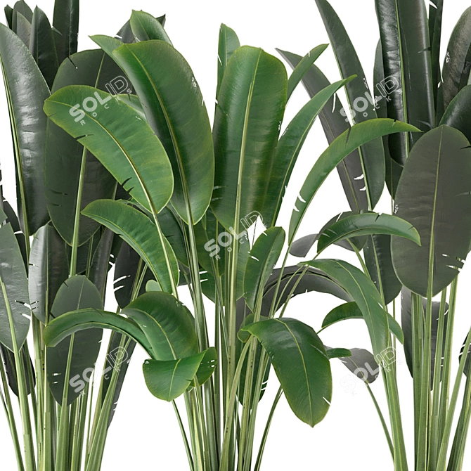 Indoor Greenery Collection - Set 201 3D model image 5