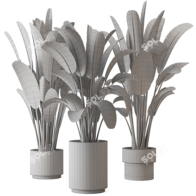 Indoor Greenery Collection - Set 201 3D model image 6