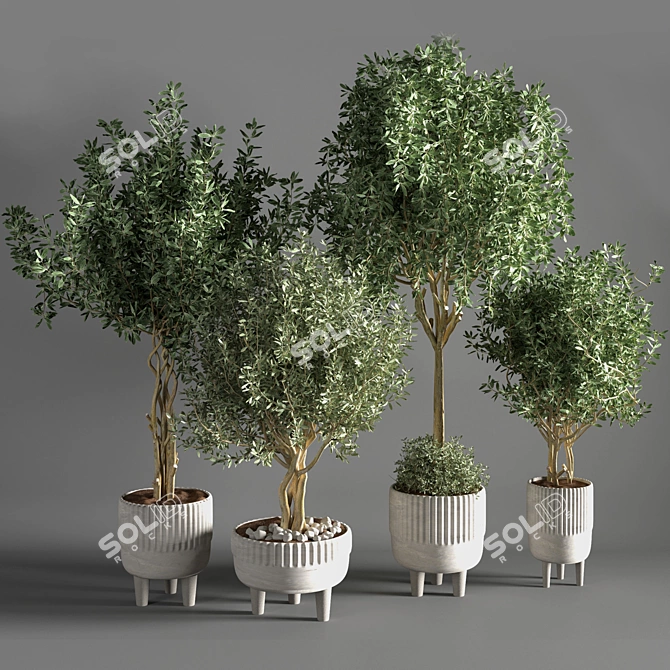 Sleek Indoor Plant for Decor 3D model image 1