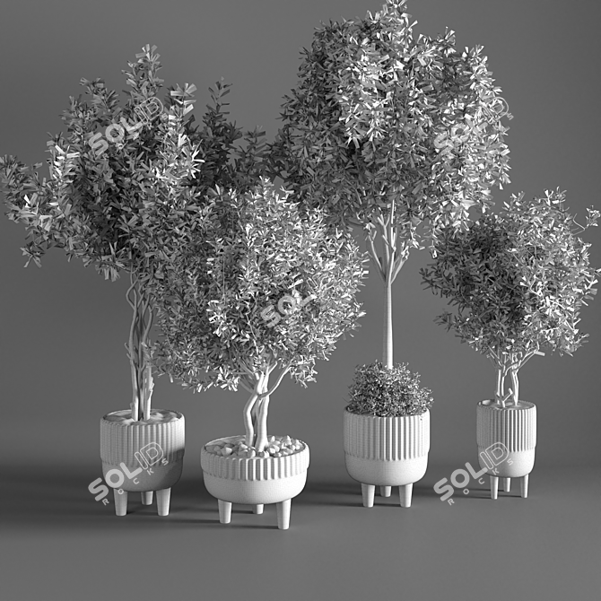 Sleek Indoor Plant for Decor 3D model image 5