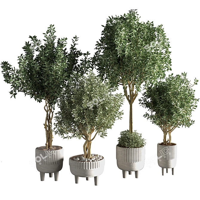 Sleek Indoor Plant for Decor 3D model image 6