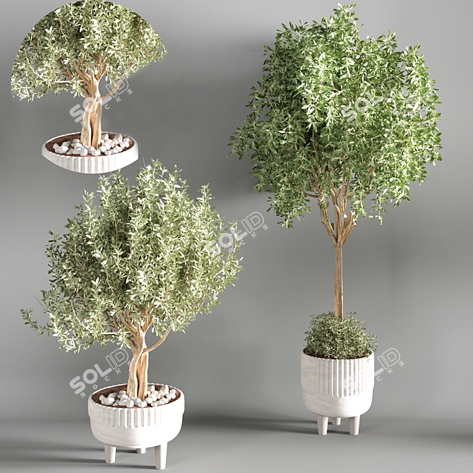 Sleek Indoor Plant for Decor 3D model image 8