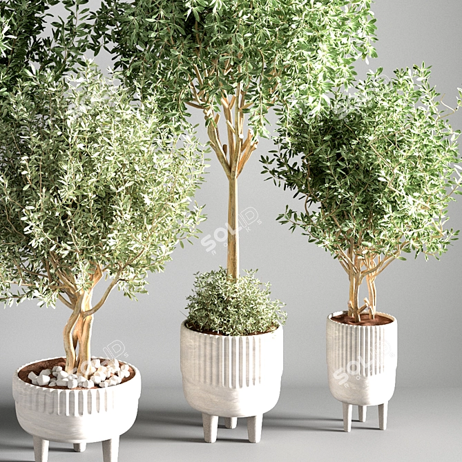 Sleek Indoor Plant for Decor 3D model image 10