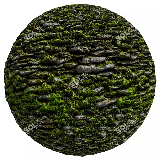 Elegant Stone Covering Texture Set 3D model image 3