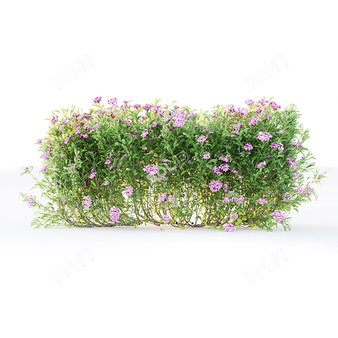 Versatile Plant Training Tool 3D model image 4