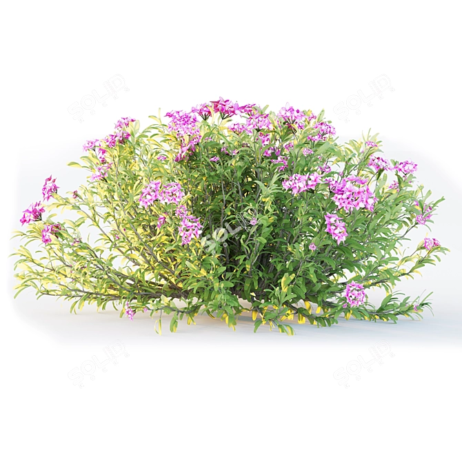 Versatile Plant Training Tool 3D model image 5