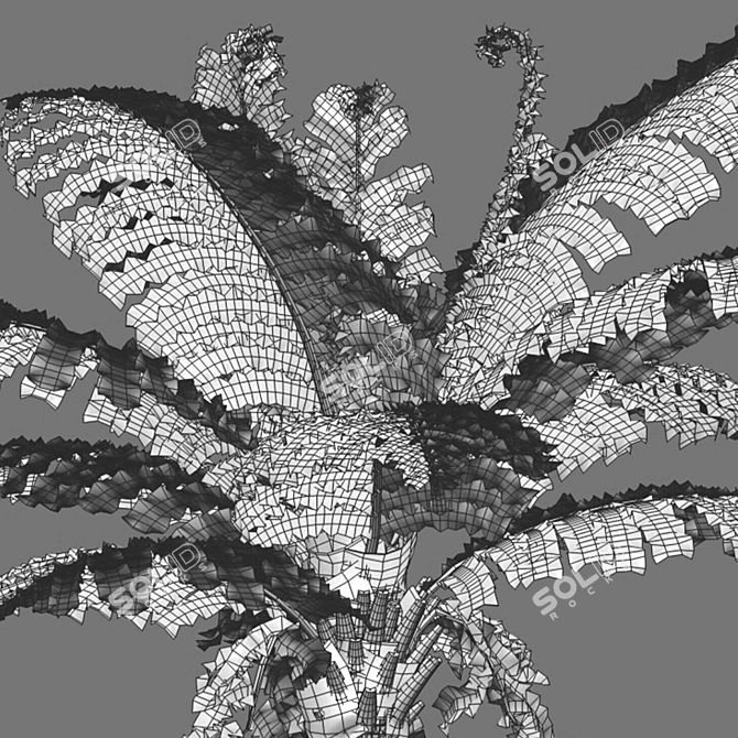 Silver Fern: Elegant Indoor Plant 3D model image 2