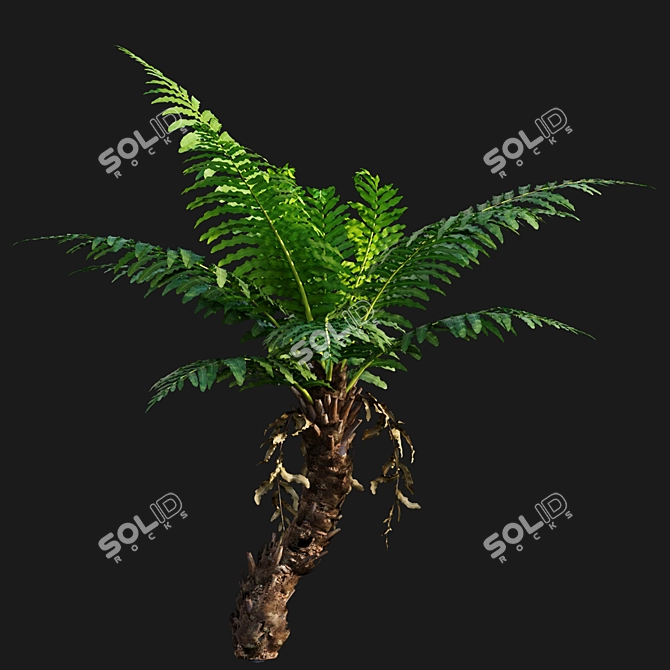 Silver Fern: Elegant Indoor Plant 3D model image 4