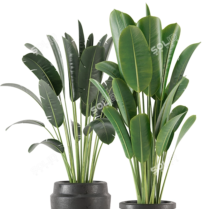 Lush Indoor Plant Set - 202 3D model image 2