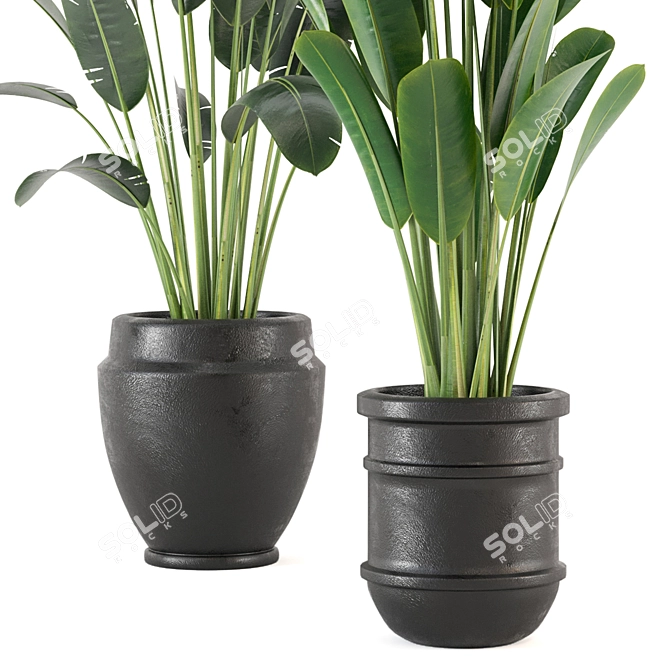 Lush Indoor Plant Set - 202 3D model image 3