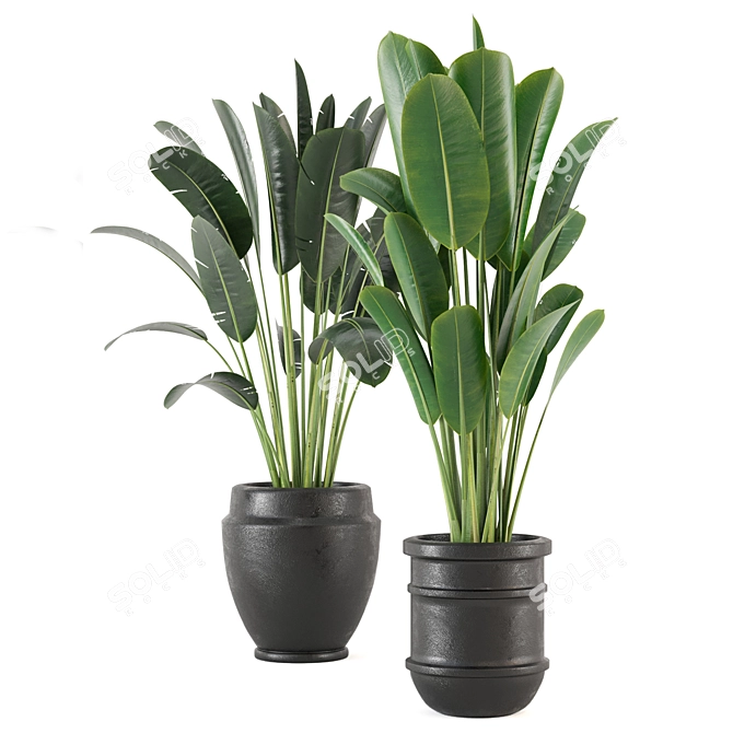 Lush Indoor Plant Set - 202 3D model image 4