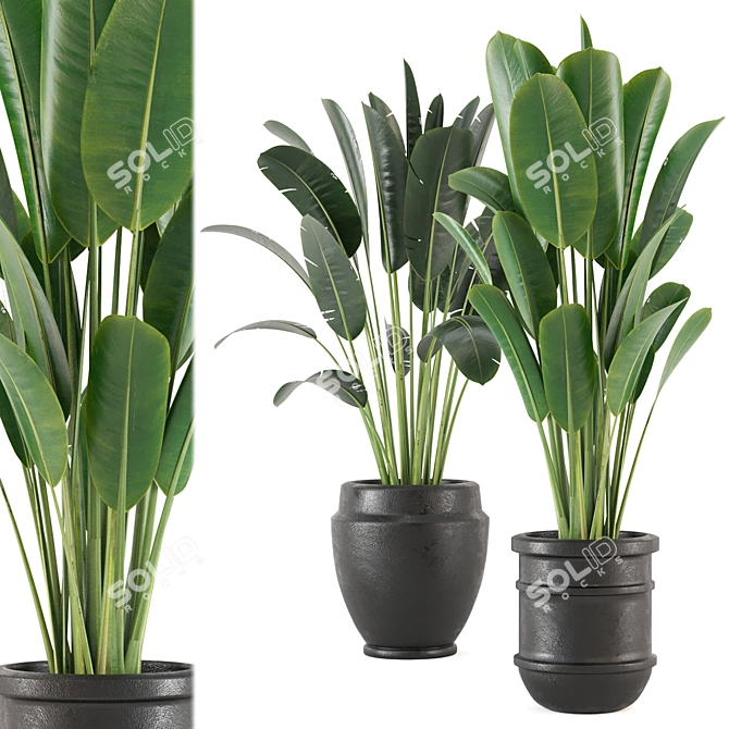 Lush Indoor Plant Set - 202 3D model image 5