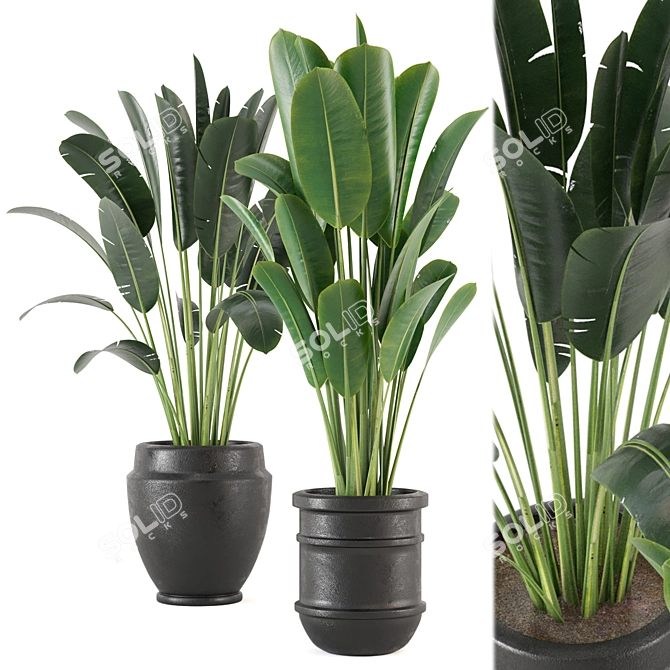 Lush Indoor Plant Set - 202 3D model image 6