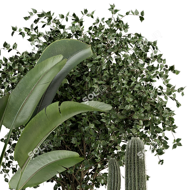 Elegant Cecilia Ficonstone Indoor Planters 3D model image 6