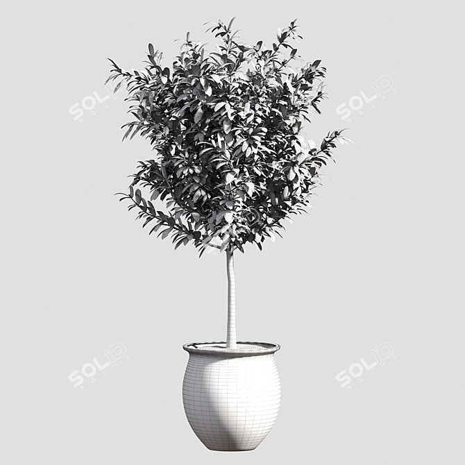 Large Arboricola Bush | 800x800x1400mm 3D model image 3