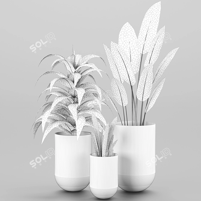 Indoor Houseplant Set: 4 Varieties 3D model image 5