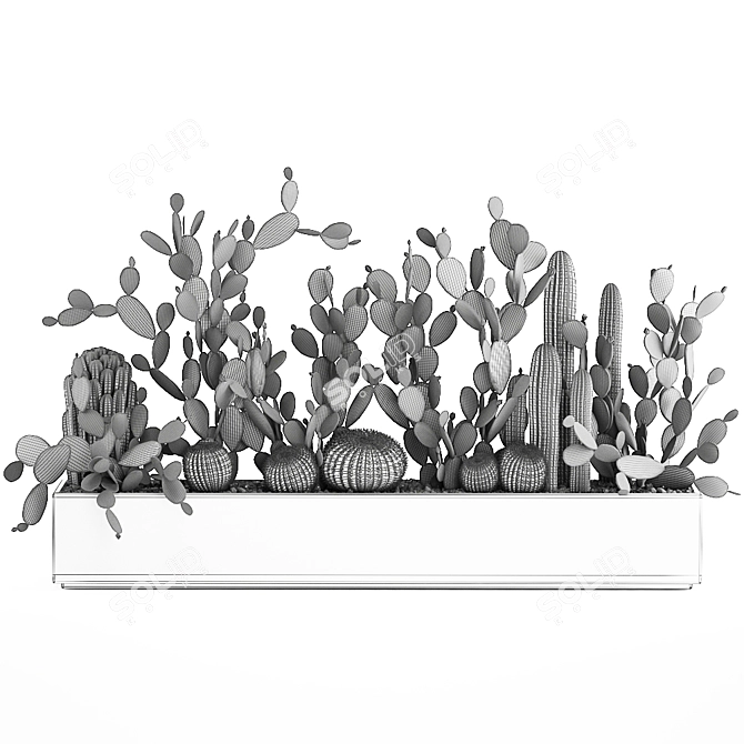 Exotic Cactus Collection 3D model image 7