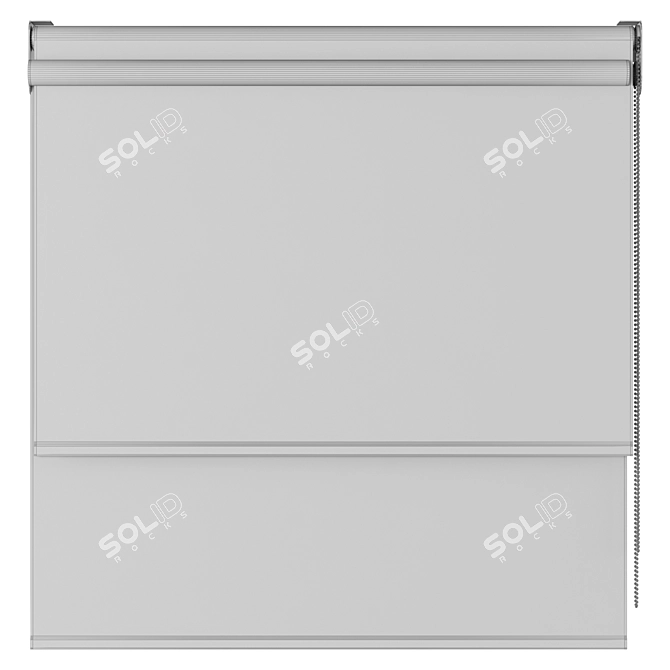 Dual Roller Shades | Customizable Roller Blind 3D model image 3