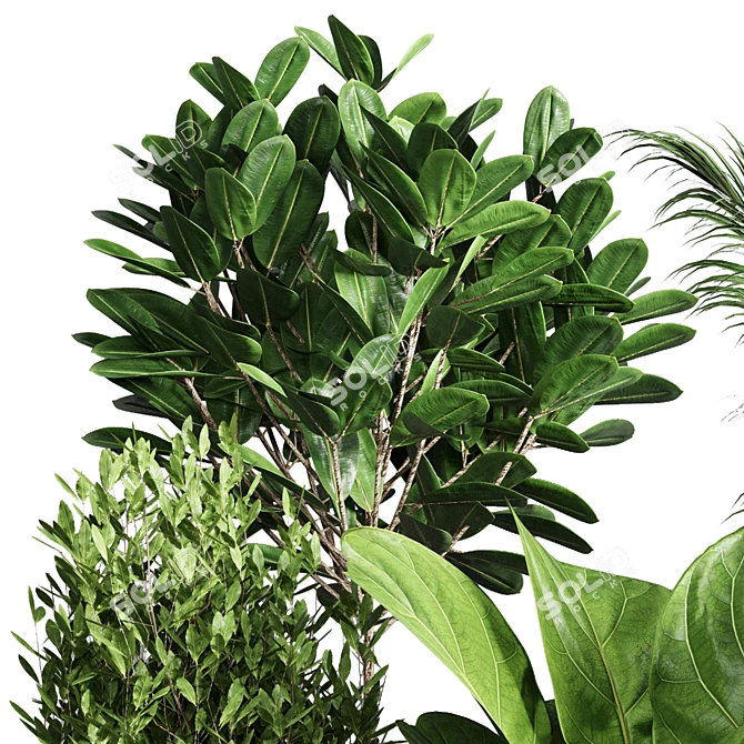 Concrete Jungle Plant Collection: 173 Indoor/Outdoor Trees, Bushes, and Palms 3D model image 3