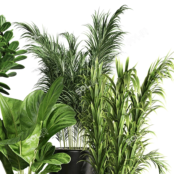 Concrete Jungle Plant Collection: 173 Indoor/Outdoor Trees, Bushes, and Palms 3D model image 4