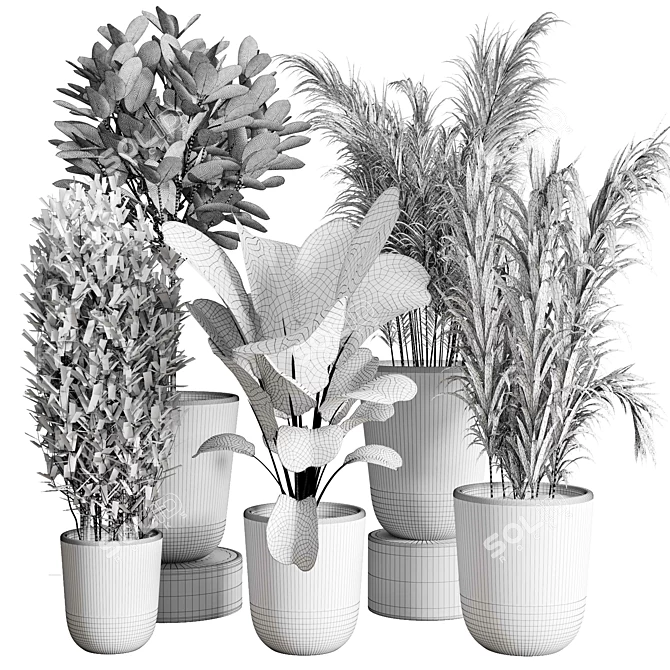 Concrete Jungle Plant Collection: 173 Indoor/Outdoor Trees, Bushes, and Palms 3D model image 7