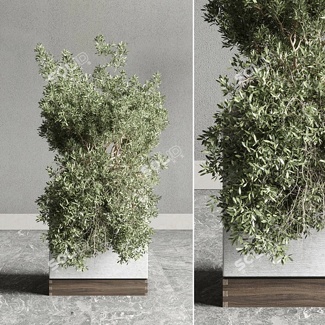Indoor Plant Set: Box Pot, Tree Shrub Bush 3D model image 4
