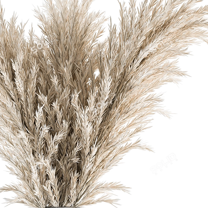 Boho Bliss: Dried Pampas Bouquet 3D model image 2