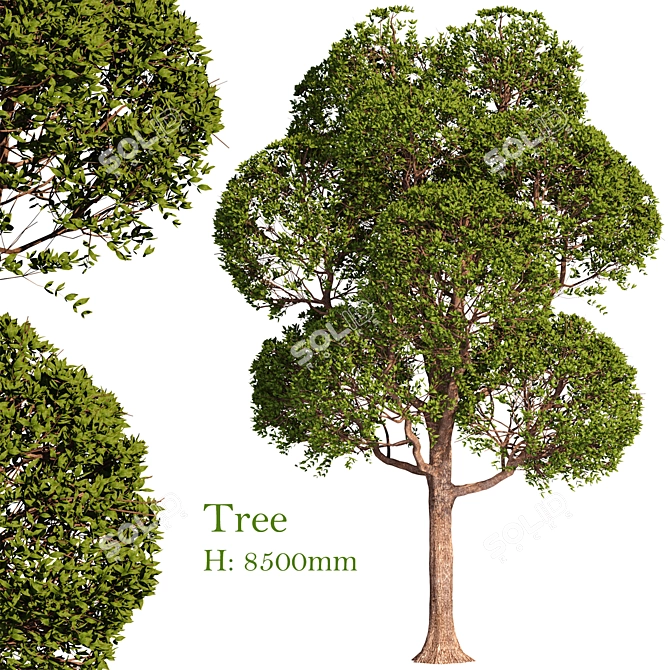 Exterior Tree Design: V-Ray Compatible 3D model image 3