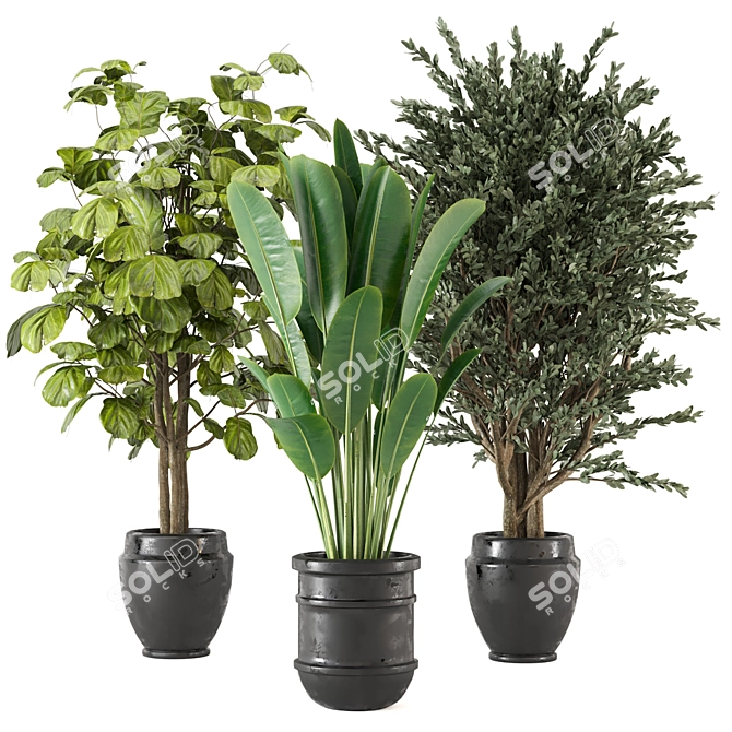 Set 203: Green Oasis - Indoor Plants 3D model image 1